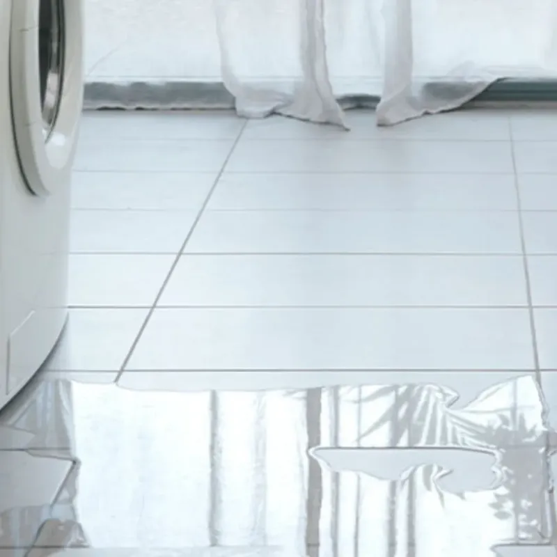 Appliance Leak Cleanup in Shelby County, MO
