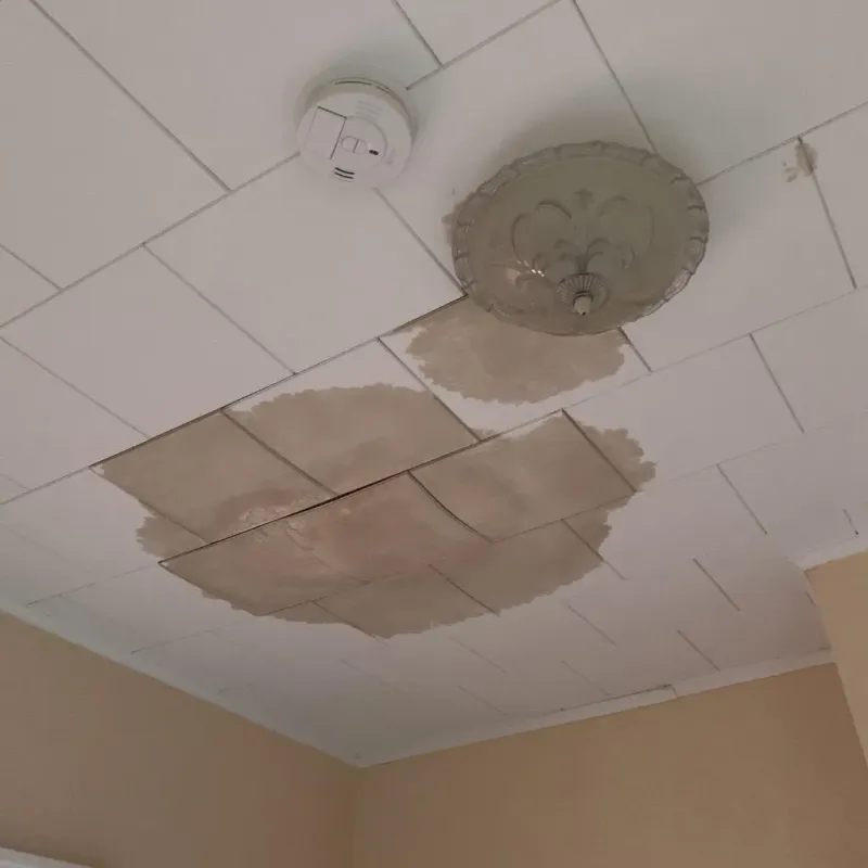 Ceiling Water Damage Repair in Shelby County, MO