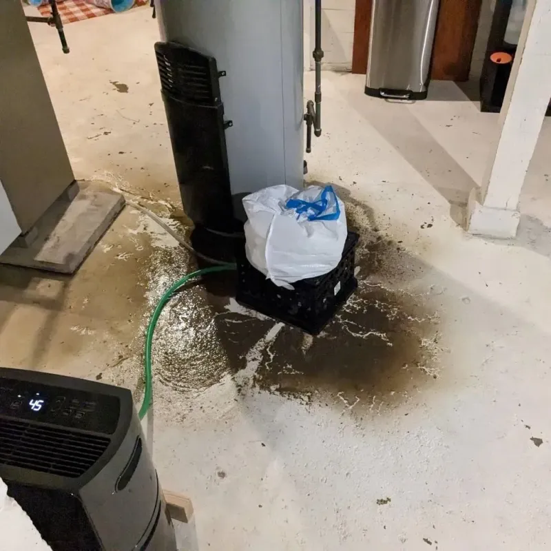 Sewage Backup Cleanup Service in Shelby County, MO